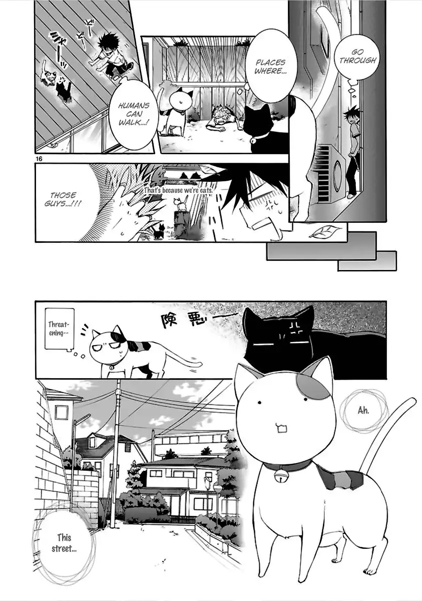 Nyan Koi! Chapter 13 17